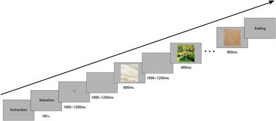 The relationship between aesthetic preferences of people for ceramic tile design and neural responses: An event-related potential study